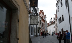 IMG_0691 IMG_0691