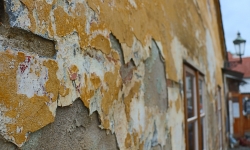 IMG_0705 IMG_0705