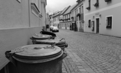 IMG_0714 IMG_0714