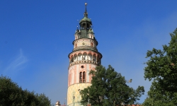 IMG_0815 IMG_0815