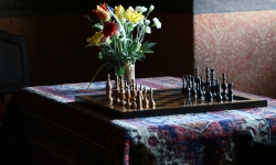 IMG_0879 IMG_0879