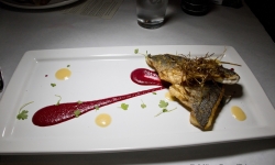 Branzino dish at Citizen Public House