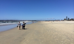 Coronado Island Beach