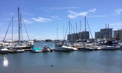 Coronado Island Marina