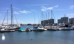 Coronado Island Marina Coronado Island Marina
