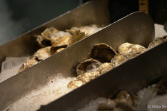 Fresh-Oysters-at-Water-Grill