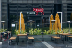 Vaca-Restaurant-patio