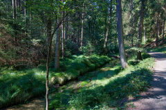 Bohemian-Switzerland-national-park-hike