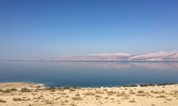 2017-03-26 16.38.17 copy 2017-03-26 16.38.17 copy