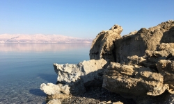 2017-03-26 17.01.08 copy 2017-03-26 17.01.08 copy