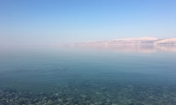 2017-03-26 17.02.18 copy 2017-03-26 17.02.18 copy
