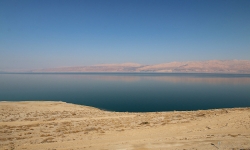 IMG_9411 copy