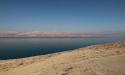 IMG_9412 copy