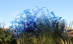 Blue at Chihuly exhibition Desert Botanical Garden