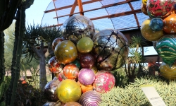 Glass Balloons at Chihuly exhibition Desert Botanical Garden