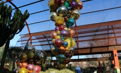 Glass Balloons Desert Botanical Garden Glass Balloons Desert Botanical Garden