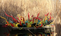 Glass art in boat at Chihuly exhibition Desert Botanical Garden