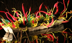 IMG_1229_1 IMG_1229_1