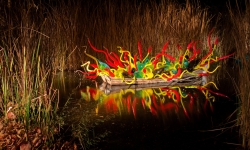 Glass boat at Chihuly exhibition Desert Botanical Garden