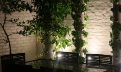 Dominique's on Magazine patio Dominique's on Magazine patio