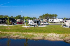 1_Kodiak-cub-0399 1_Kodiak-cub-0399