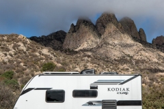 Kodiak-cub-0116 Kodiak-cub-0116