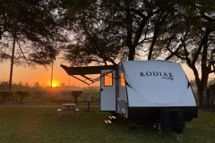 Kodiak-cub-3064 Kodiak-cub-3064