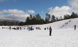 Sledding in Flagstaff