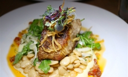 Bluenose Sea Bass from Brix Bluenose Sea Bass from Brix