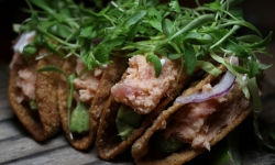 Ahi tacos at Kettner Exchange