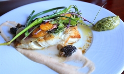 Alaskan Longline Halibut at The Mansion Restaurant Alaskan Longline Halibut at The Mansion Restaurant