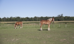 IMG_4176 IMG_4176