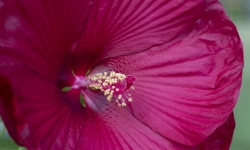 IMG_4187 IMG_4187