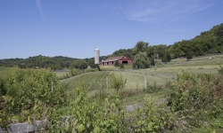 IMG_4221 IMG_4221
