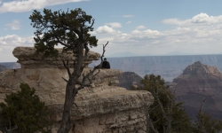 North Rim Grand Canyon