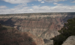 Grand Canyon Nort Rim Grand Canyon Nort Rim