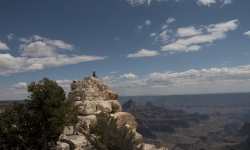 IMG_3957 IMG_3957