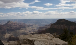 IMG_3986 IMG_3986