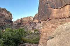 Petroglyph perch