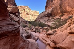 Pools of water in canyon