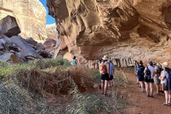 Group in the Grotto