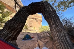 In hammock looking through the Tree Arch