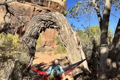 Hammock time 2