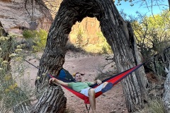 Mike in Hammock