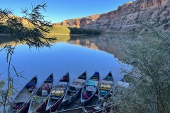 Canoes lined up at sunrise