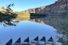 Boats lined up during the day