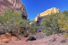 Tent-at-Tree-Arch