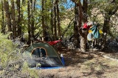 Tent-in-trees