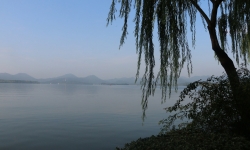 IMG_4809 IMG_4809