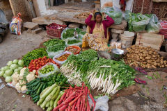 Food-vendor copy